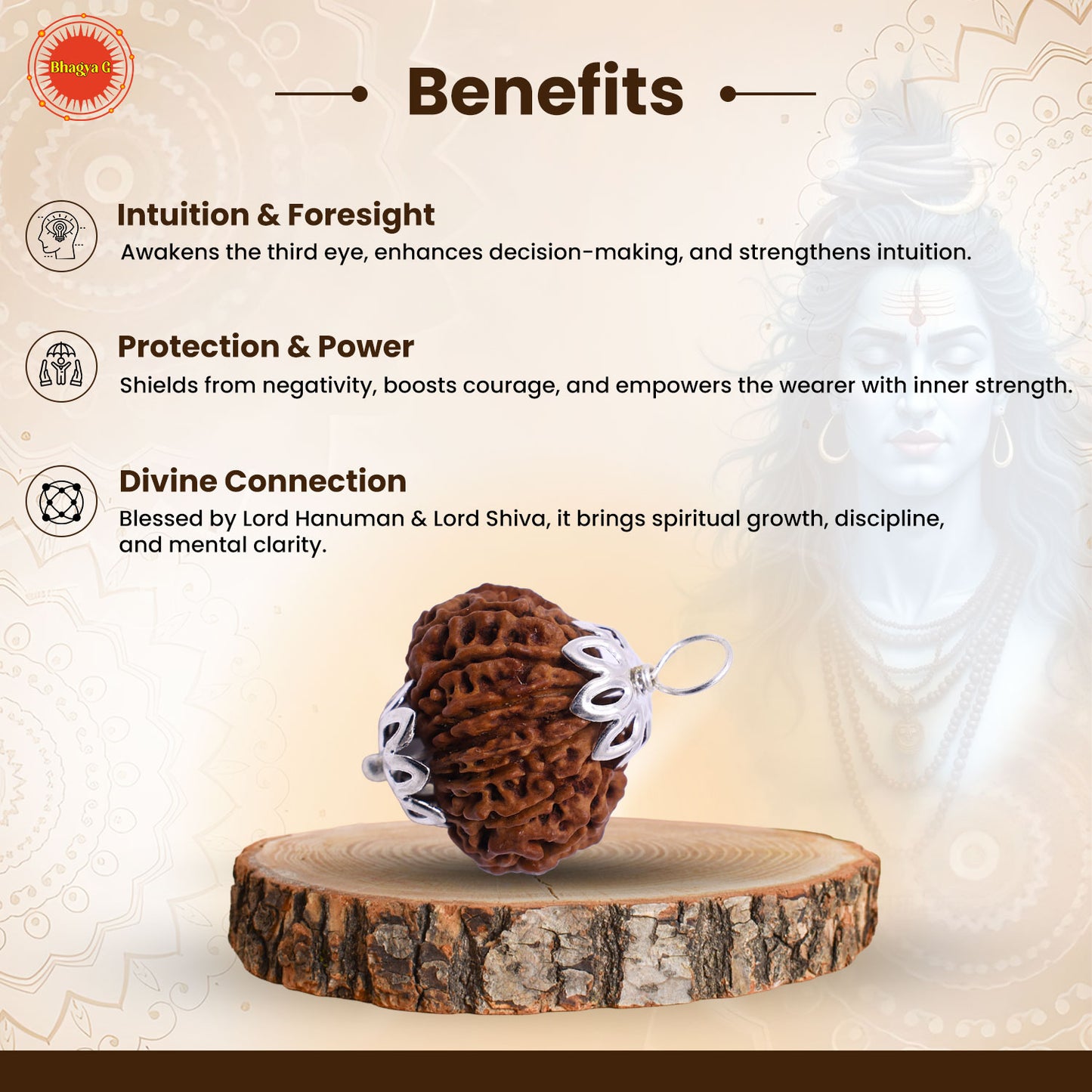 Nepali 14 Mukhi Rudraksha (Lab Certified)