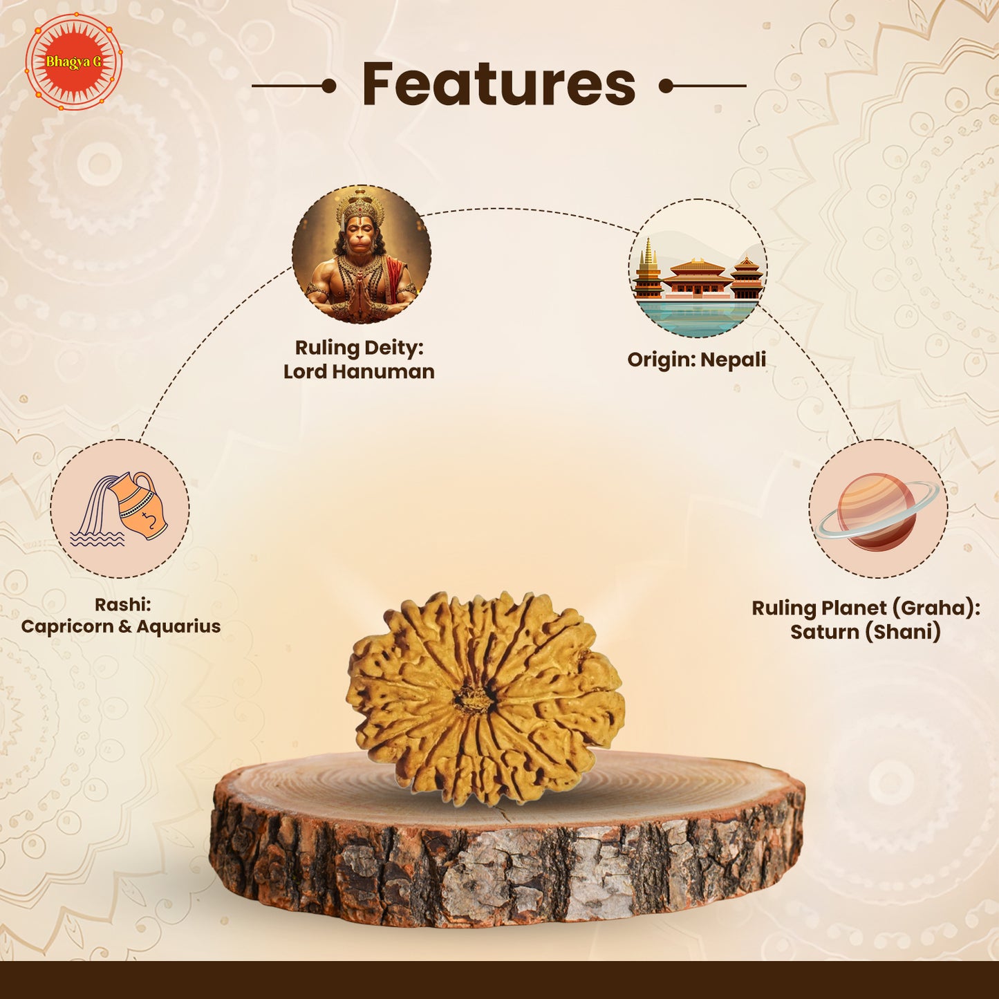 Nepali 14 Mukhi Rudraksha (Lab Certified)