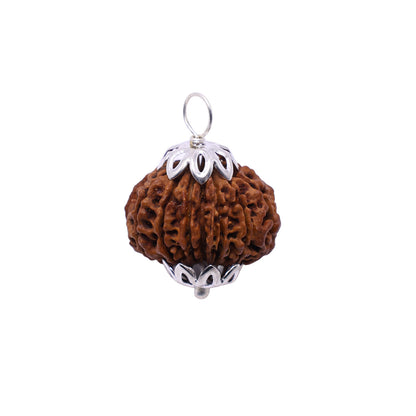 Nepali 14 Mukhi Rudraksha (Lab Certified)