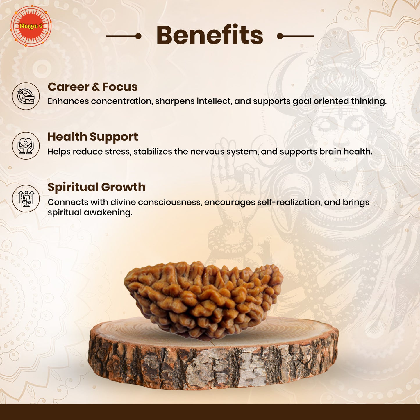 Nepali 1 Mukhi Rudraksha (Lab Certified)