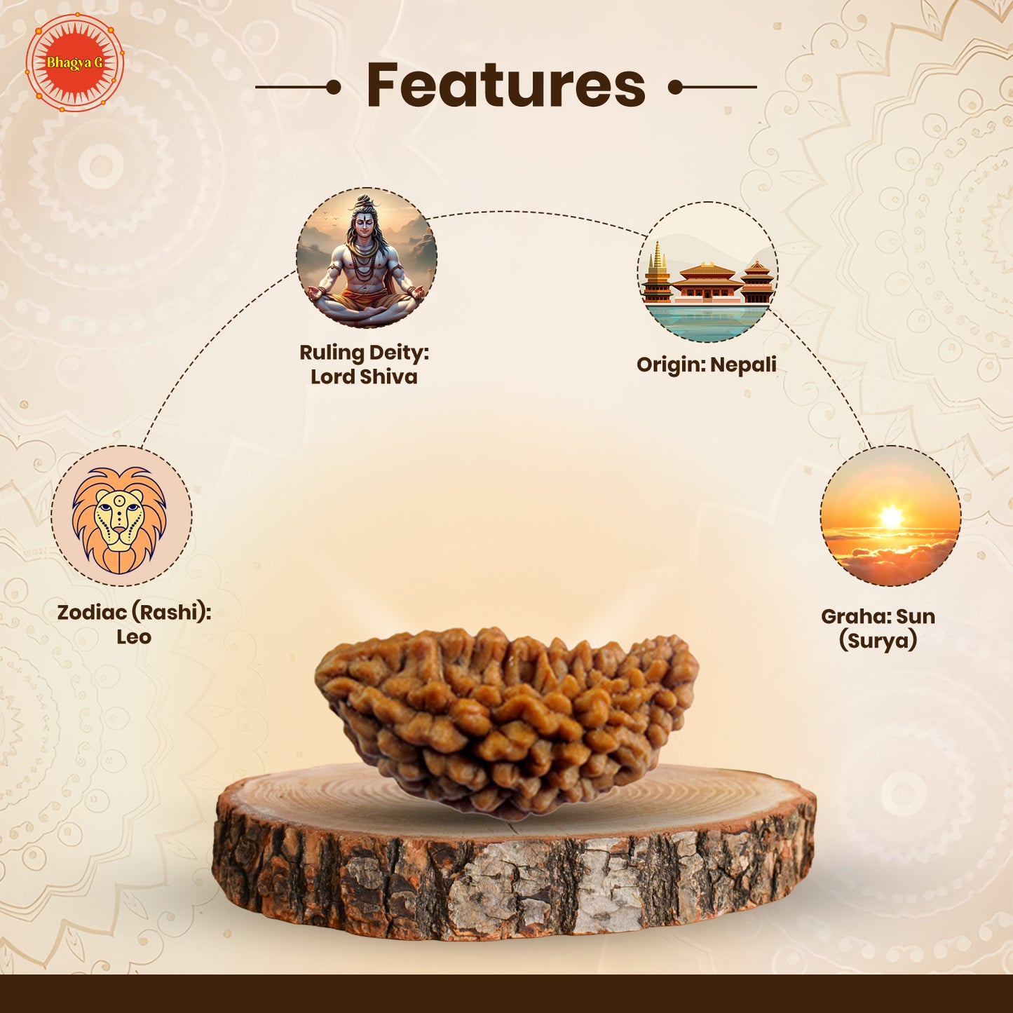 Nepali 1 Mukhi Rudraksha (Lab Certified)