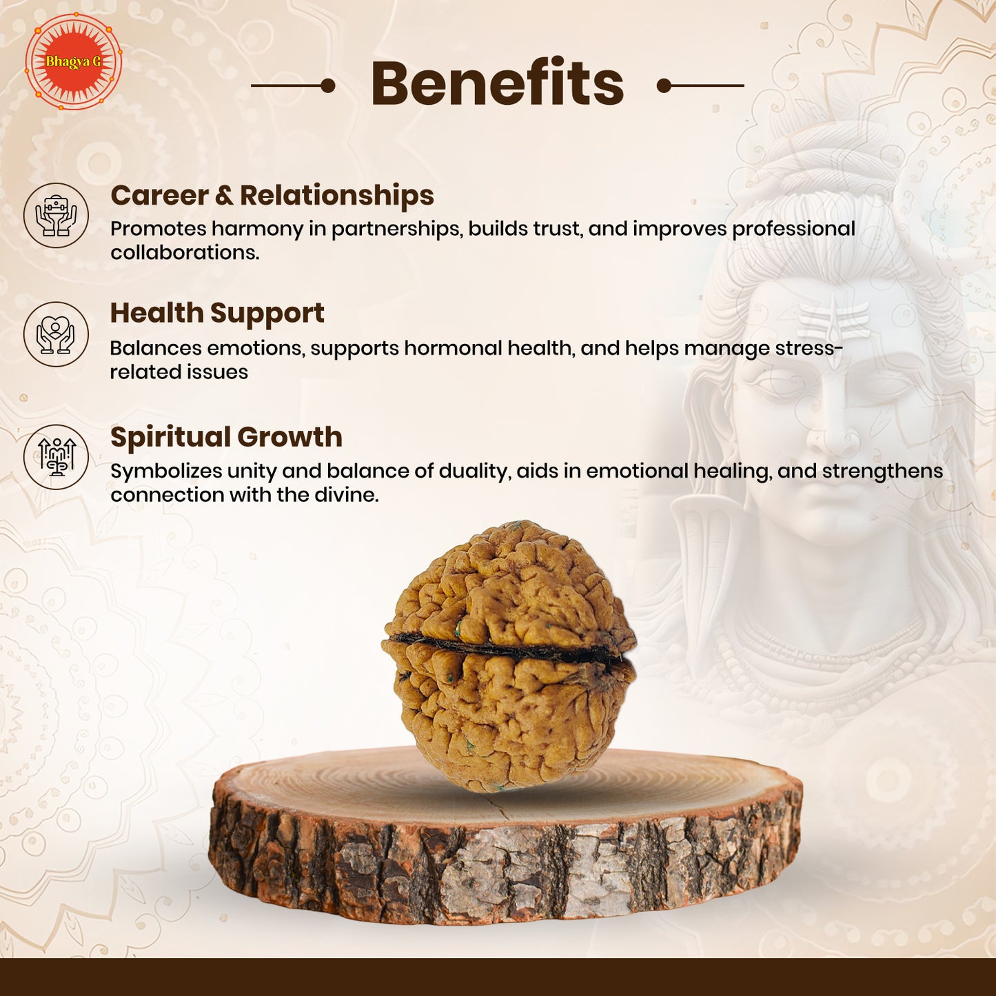 Nepali 2 Mukhi Rudraksha (Lab Certified)