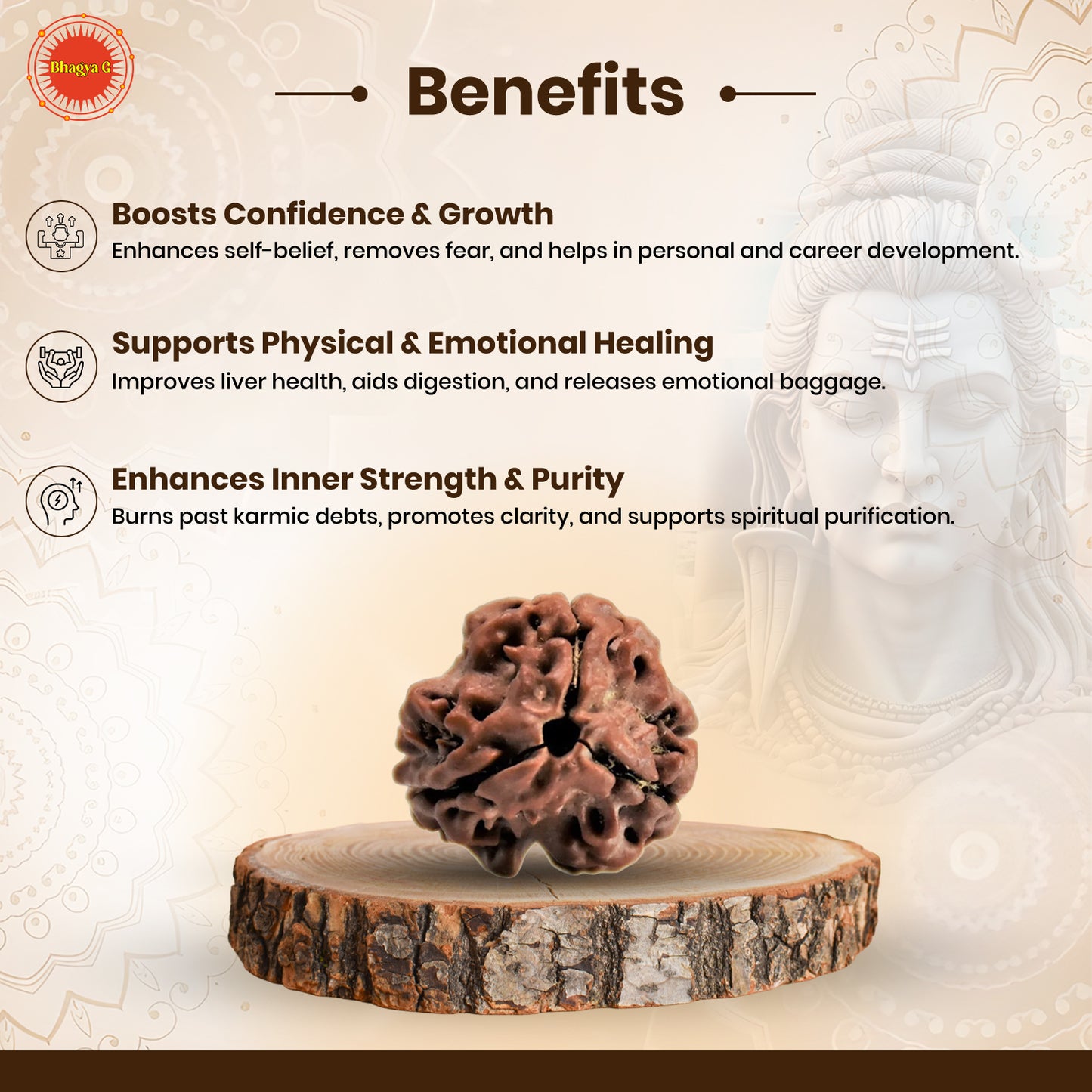 Nepali 3 Mukhi Rudraksha (Lab Certified)