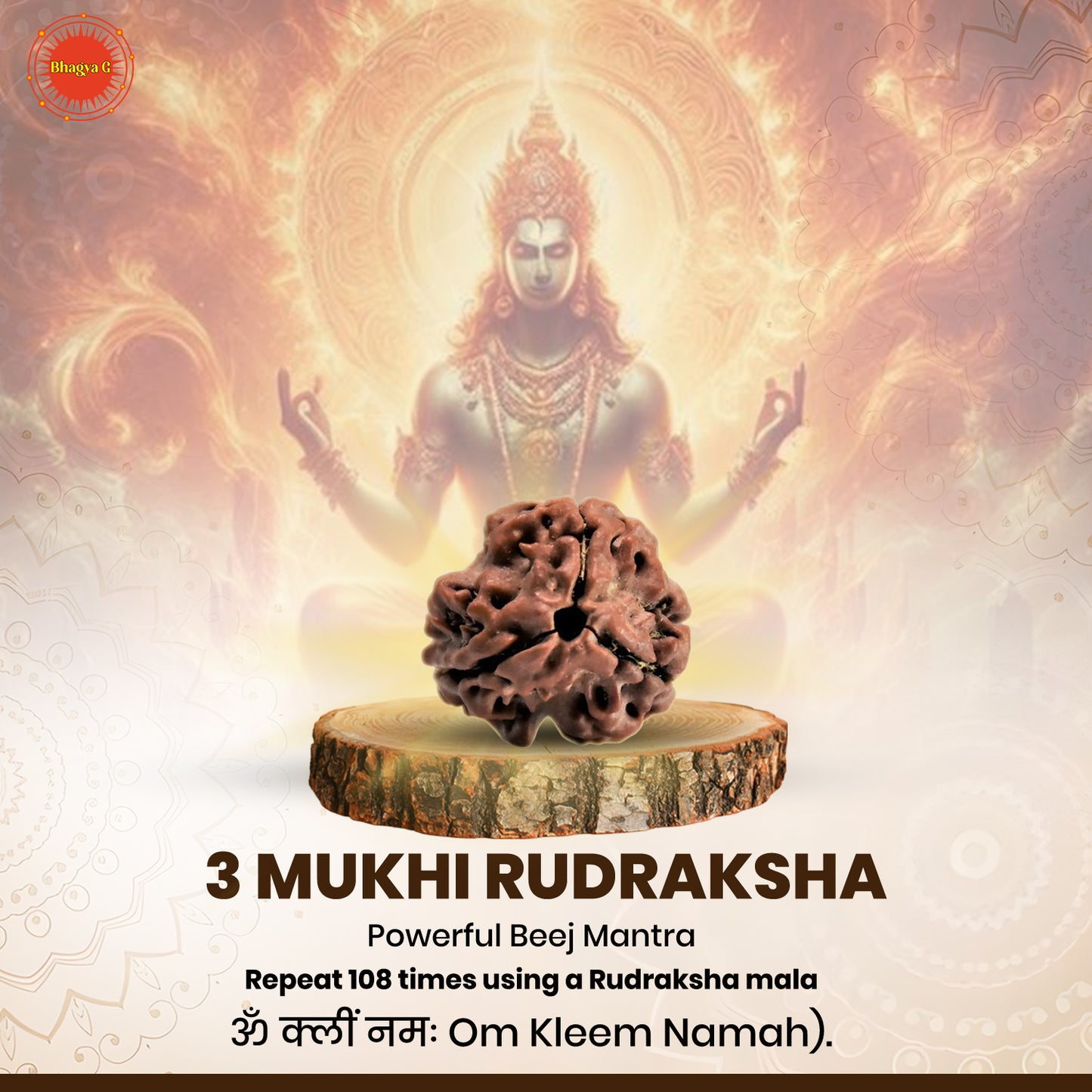 Nepali 3 Mukhi Rudraksha (Lab Certified)