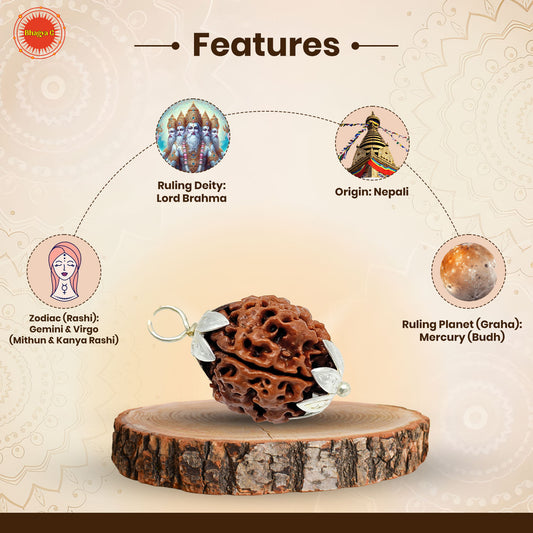 4 Mukhi Rudraksha (Nepali)
