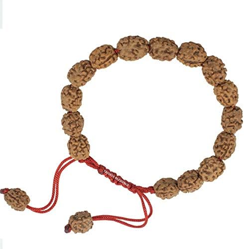 4 Mukhi Rudraksha