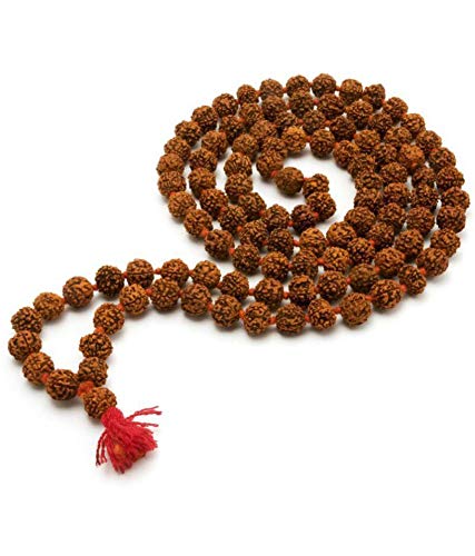 5 Mukhi Rudraksha