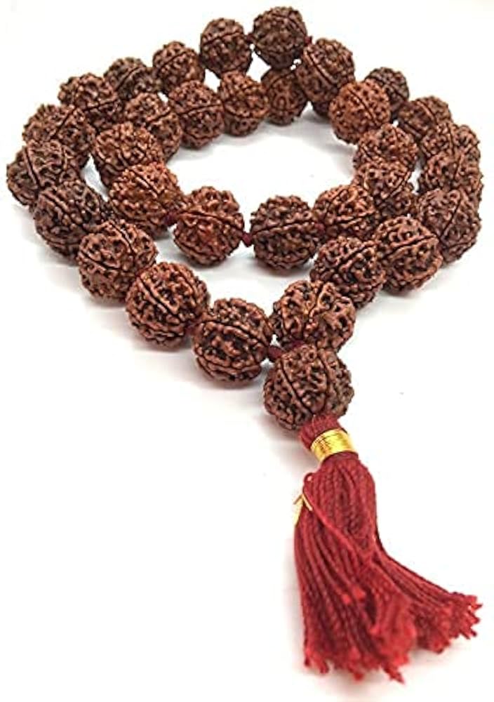 4 Mukhi Rudraksha