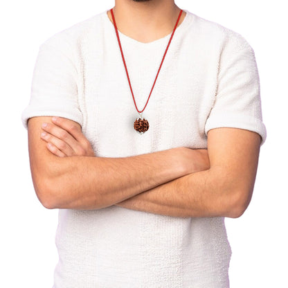 5 Mukhi Rudraksha