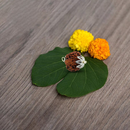 7 Mukhi Rudraksha for brings opportunities, growth and success