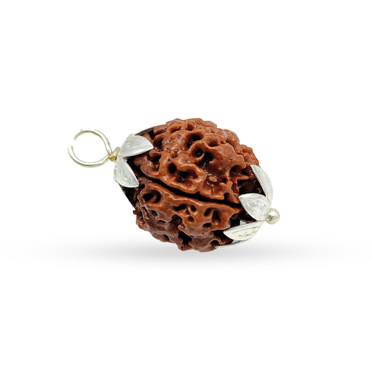4 Mukhi Rudraksha