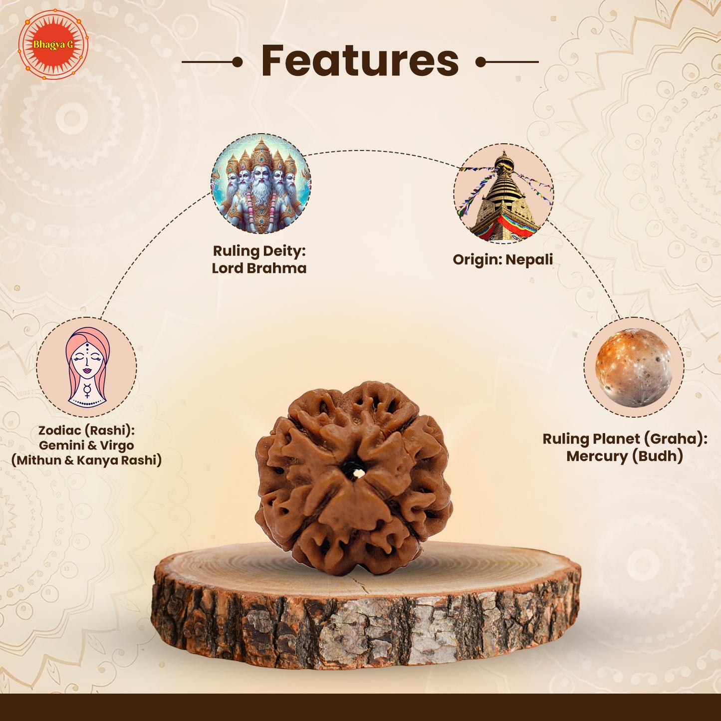 Nepali 4 Mukhi Rudraksha (Lab Certified)