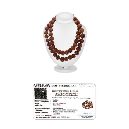 Nepali Rudraksha Mala (54 Beads)
