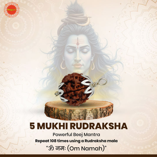 Nepali 5 Mukhi Rudraksha (Lab Certified)