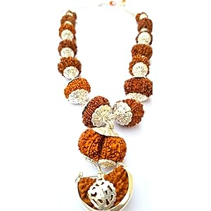 14 Mukhi Rudraksha