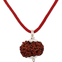 12 Mukhi Rudraksha