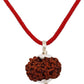 11 MUKHI RUDRAKSHA