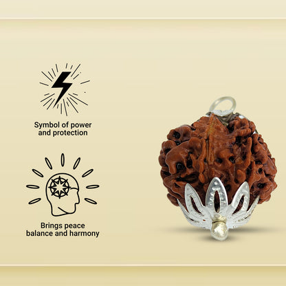 7 Mukhi Rudraksha for brings opportunities, growth and success