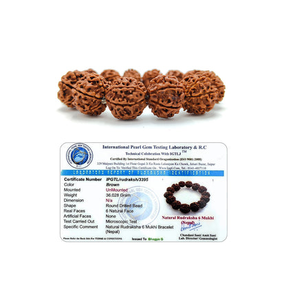 Divine 6 Mukhi Rudraksha Wisdom Bracelet for boosts wisdom and self-confidence