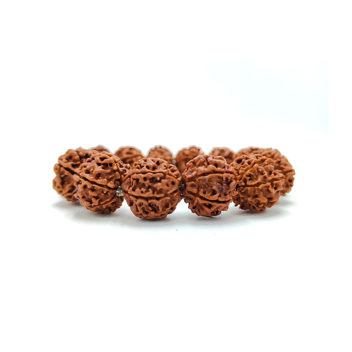Divine 6 Mukhi Rudraksha Wisdom Bracelet (Nepali)