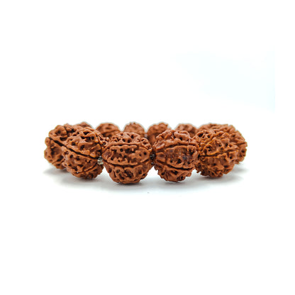 Divine 6 Mukhi Rudraksha Wisdom Bracelet (Nepali)