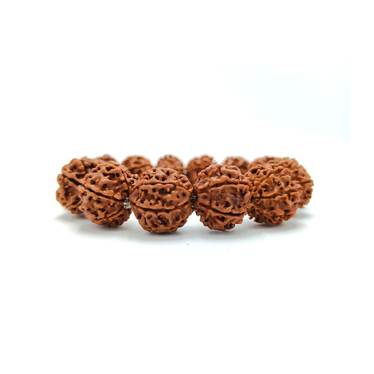 Divine 6 Mukhi Rudraksha Wisdom Bracelet (Nepali)