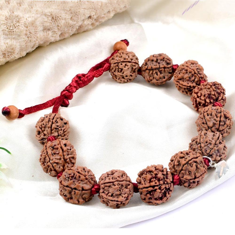 6 Mukhi Rudraksha