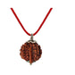 6 Mukhi Rudraksha