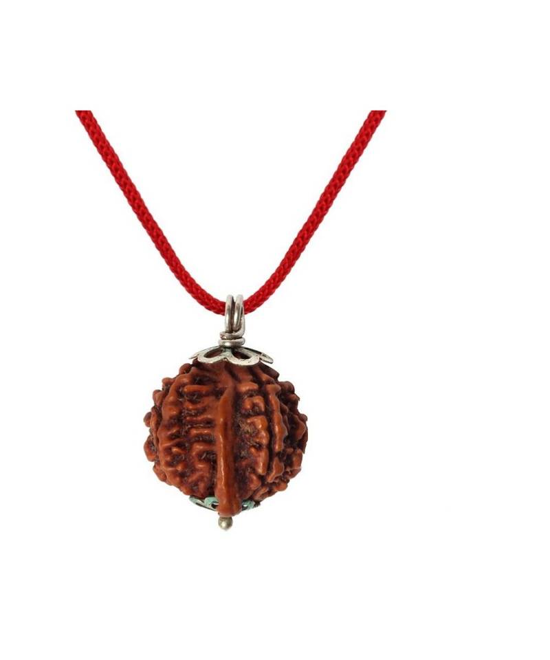 6 Mukhi Rudraksha