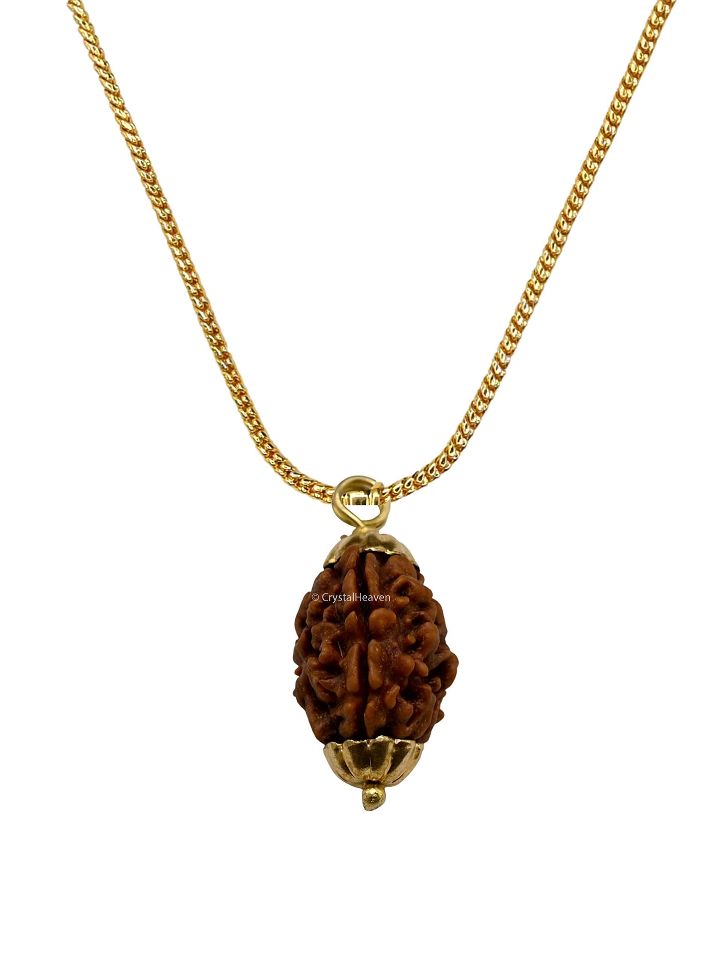 3 Mukhi Rudraksha