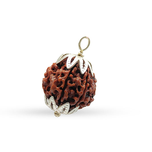 Ganesh Rudraksha