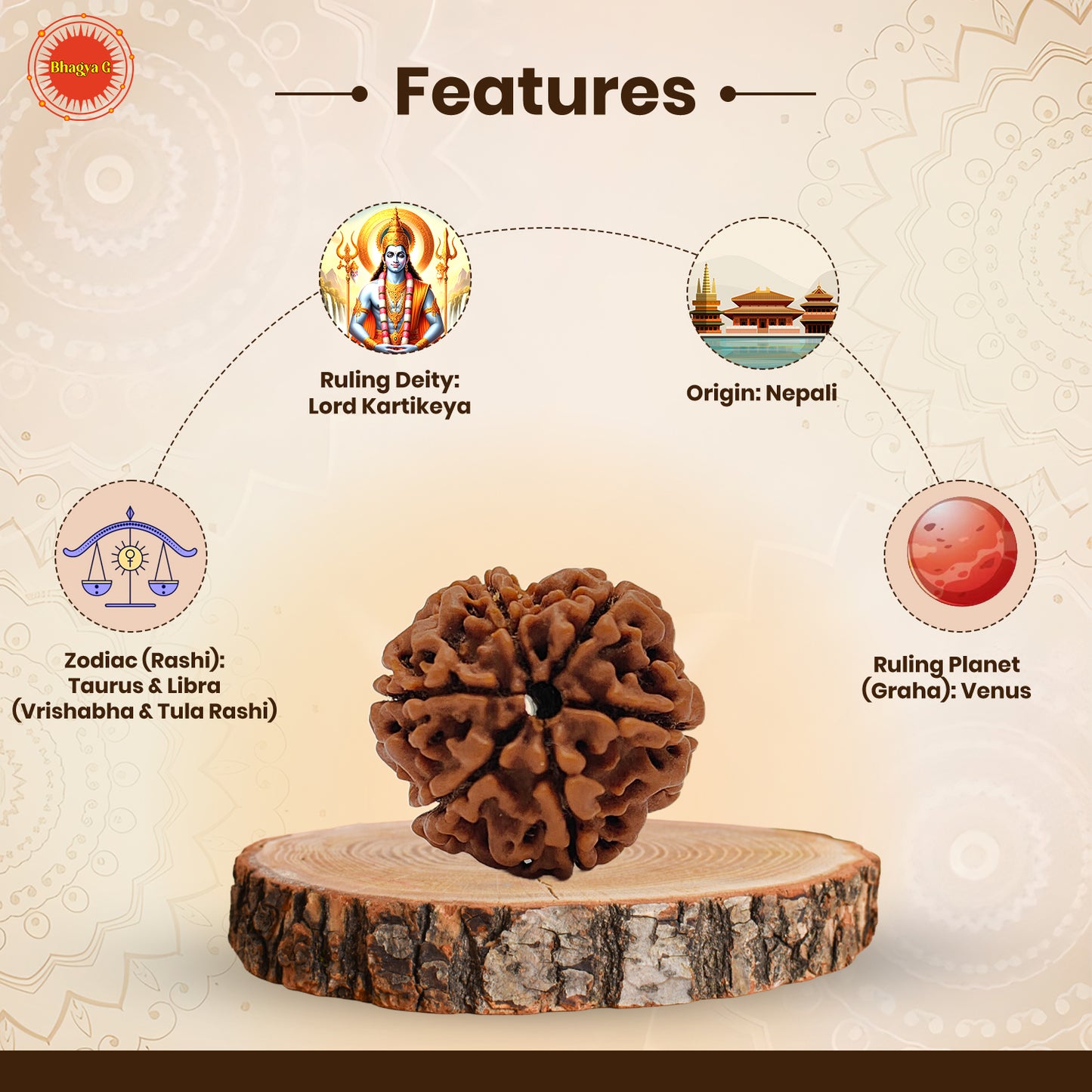 Nepali 6 Mukhi Rudraksha (Lab Certified)