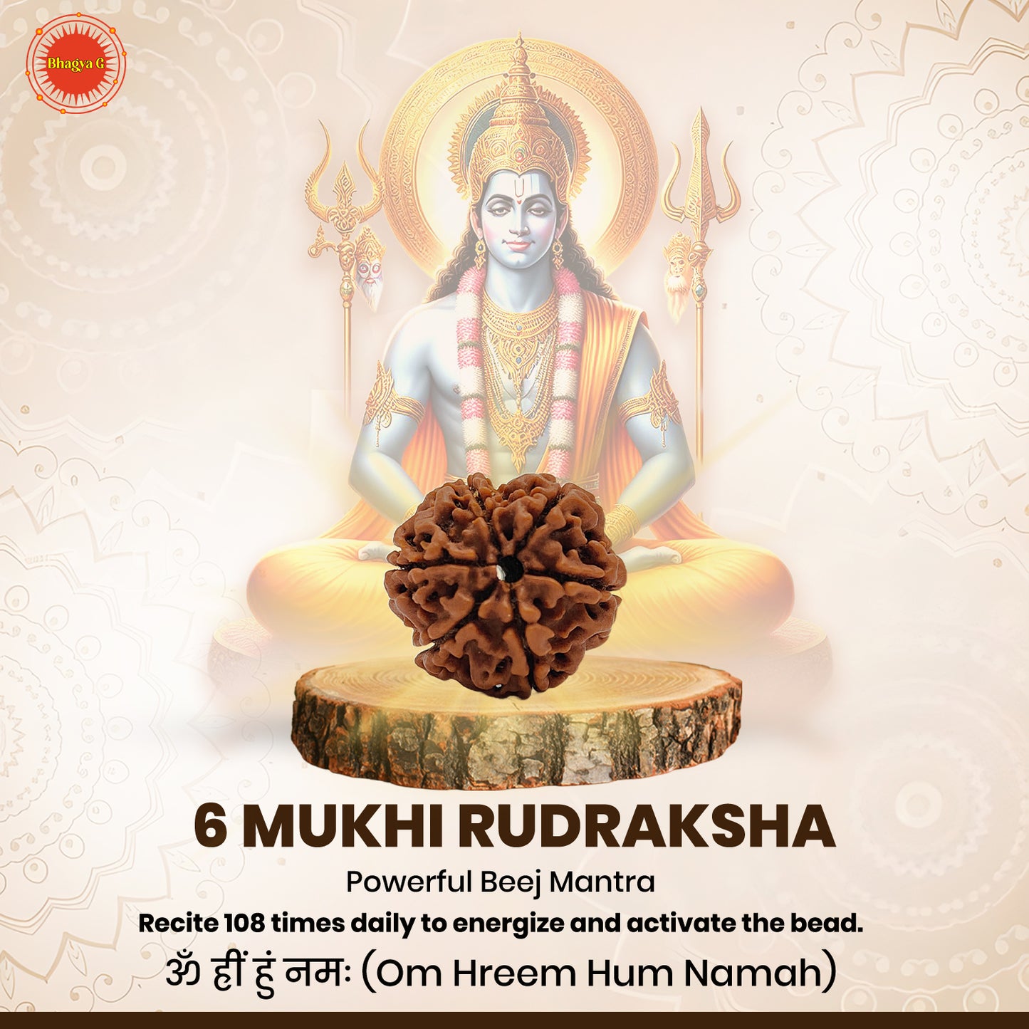 Nepali 6 Mukhi Rudraksha (Lab Certified)