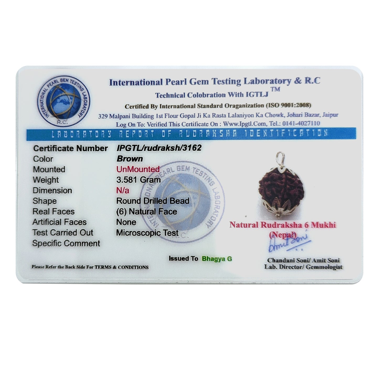 Nepali 6 Mukhi Rudraksha (Lab Certified)