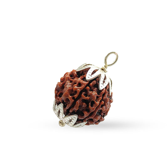 6 Mukhi Rudraksha