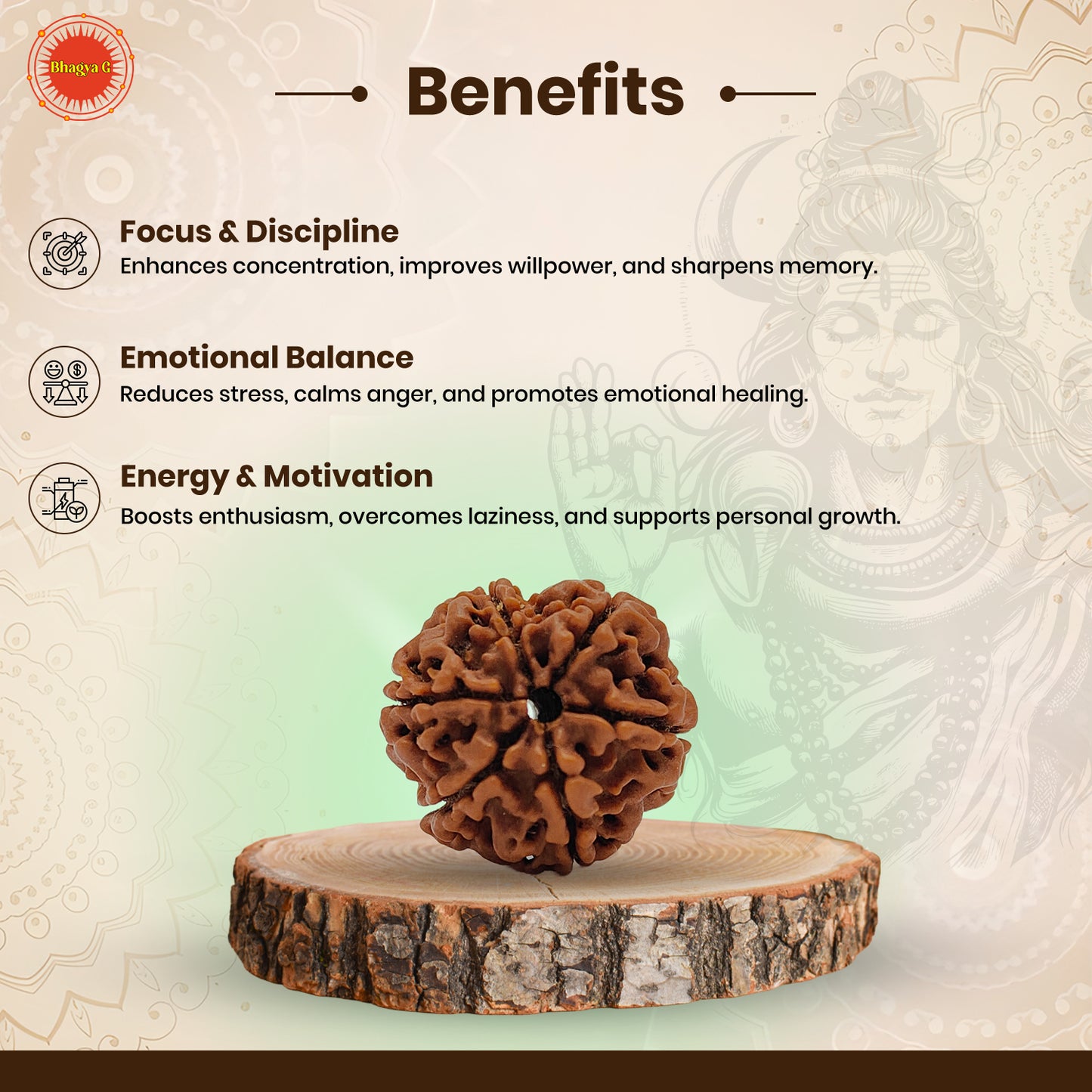 Nepali 6 Mukhi Rudraksha (Lab Certified)