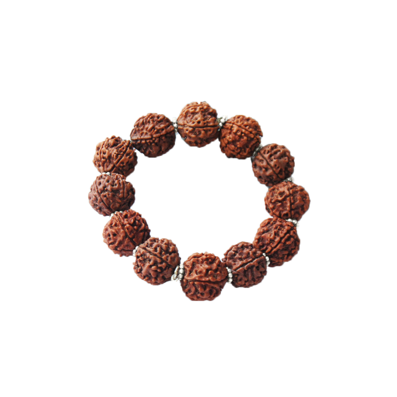 7 Mukhi Rudraksha