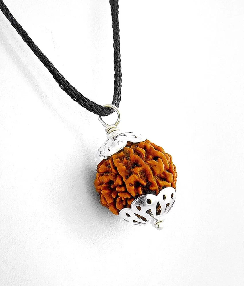 7 Mukhi Rudraksha