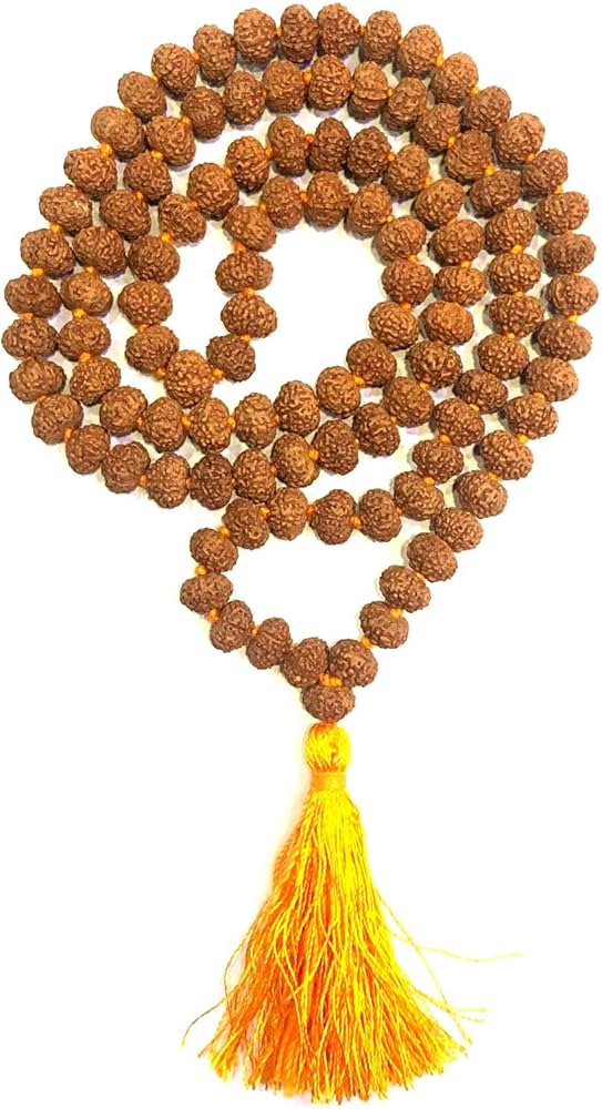 6 Mukhi Rudraksha