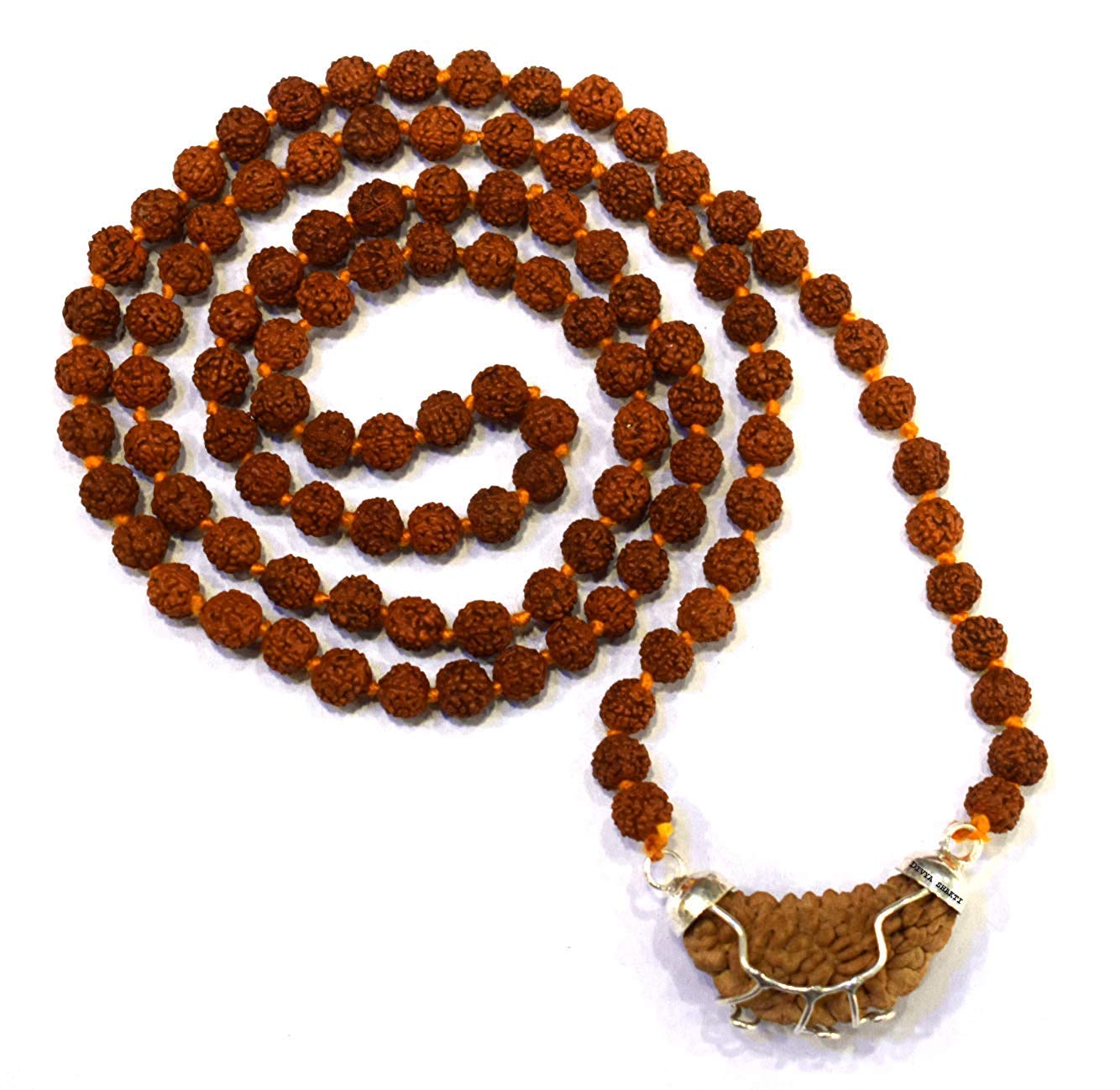 1 Mukhi Rudraksha