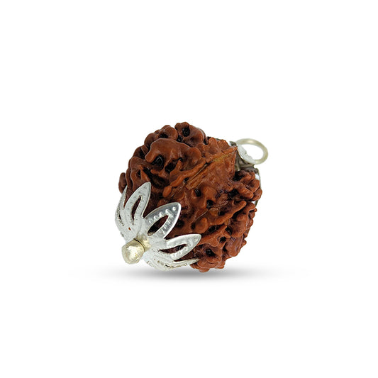 7 Mukhi Rudraksha
