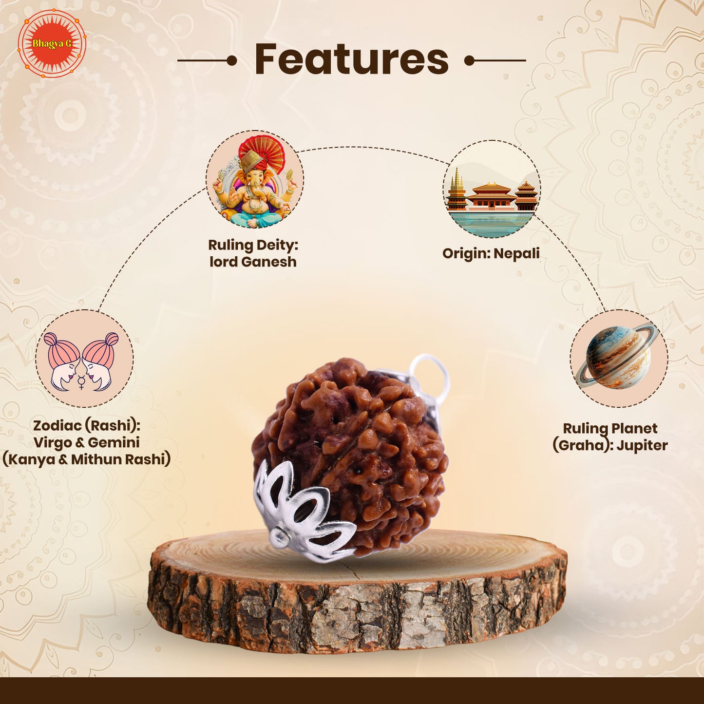 Nepali 8 Mukhi Rudraksha (Lab Certified)