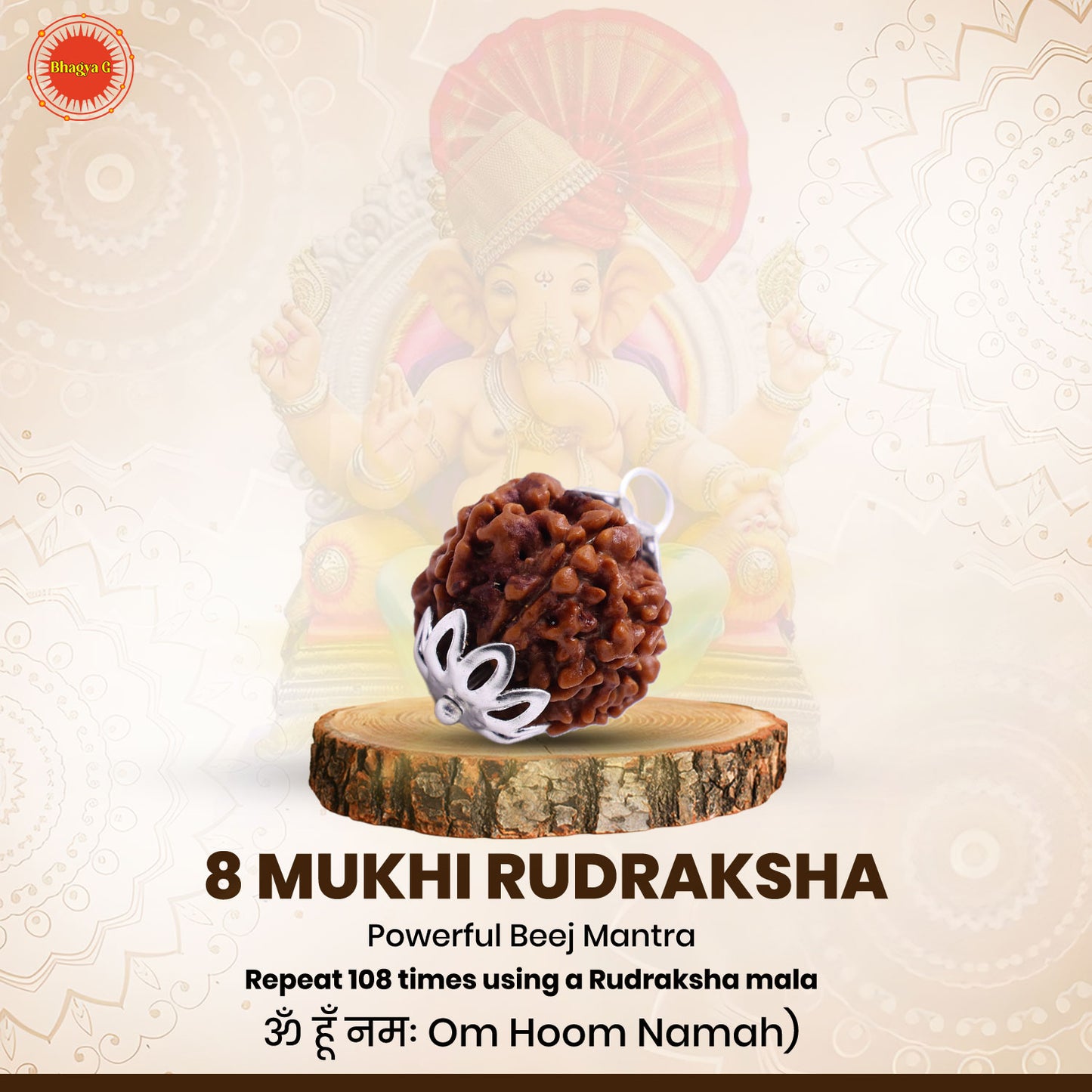 Nepali 8 Mukhi Rudraksha (Lab Certified)