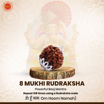 Nepali 8 Mukhi Rudraksha (Lab Certified)