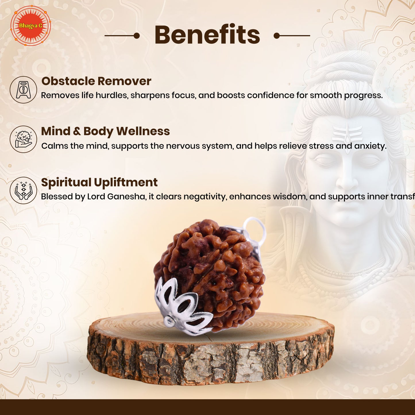 Nepali 8 Mukhi Rudraksha (Lab Certified)