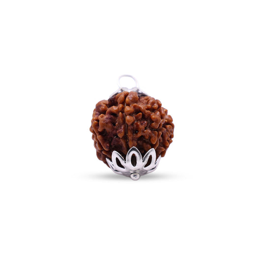 Nepali 8 Mukhi Rudraksha (Lab Certified)