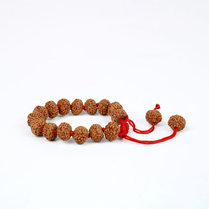 8 Mukhi Rudraksha