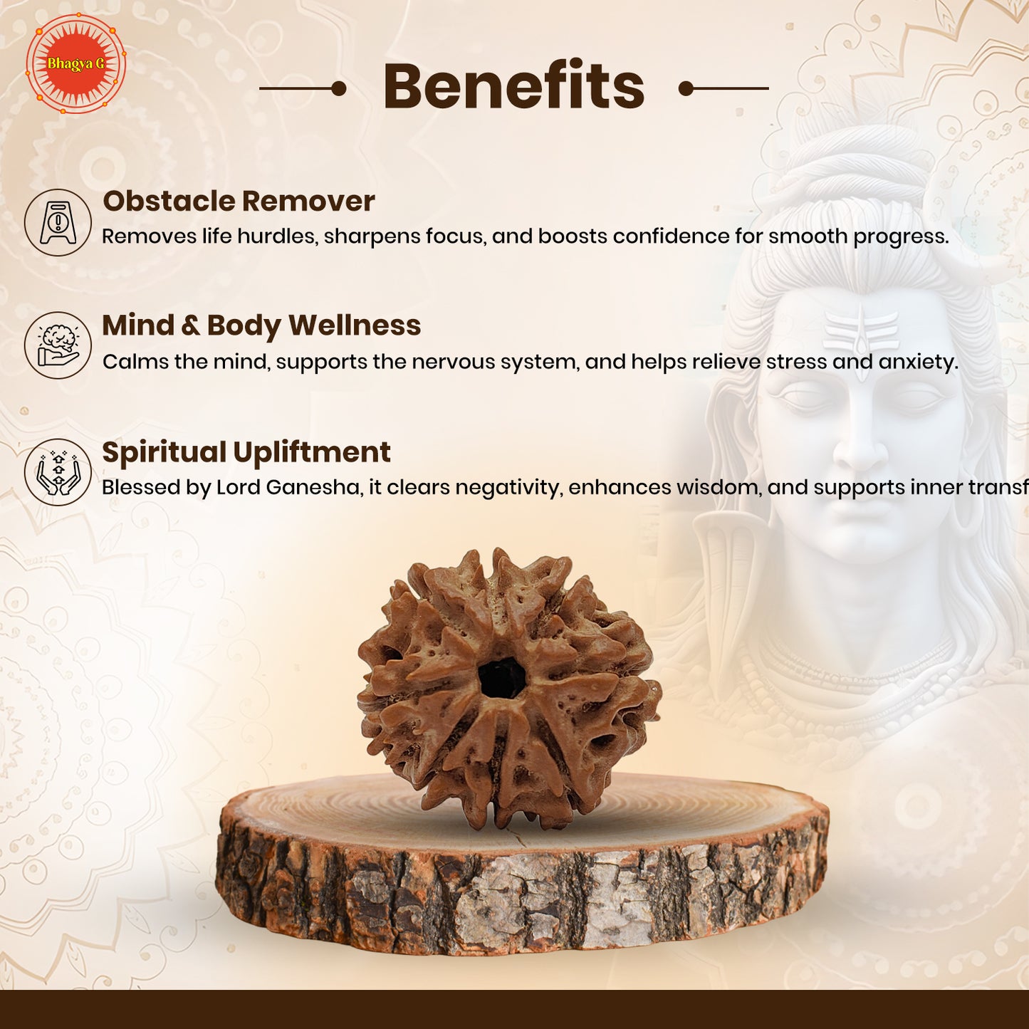 Nepali 8 Mukhi Rudraksha (Lab Certified)