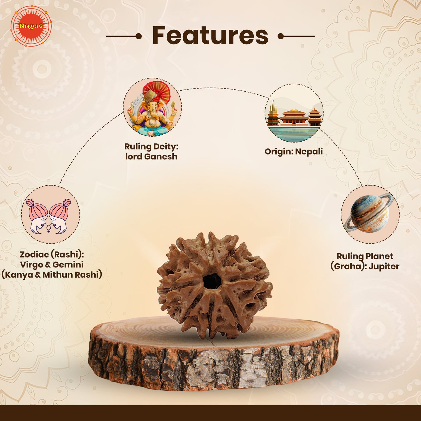 Nepali 8 Mukhi Rudraksha (Lab Certified)