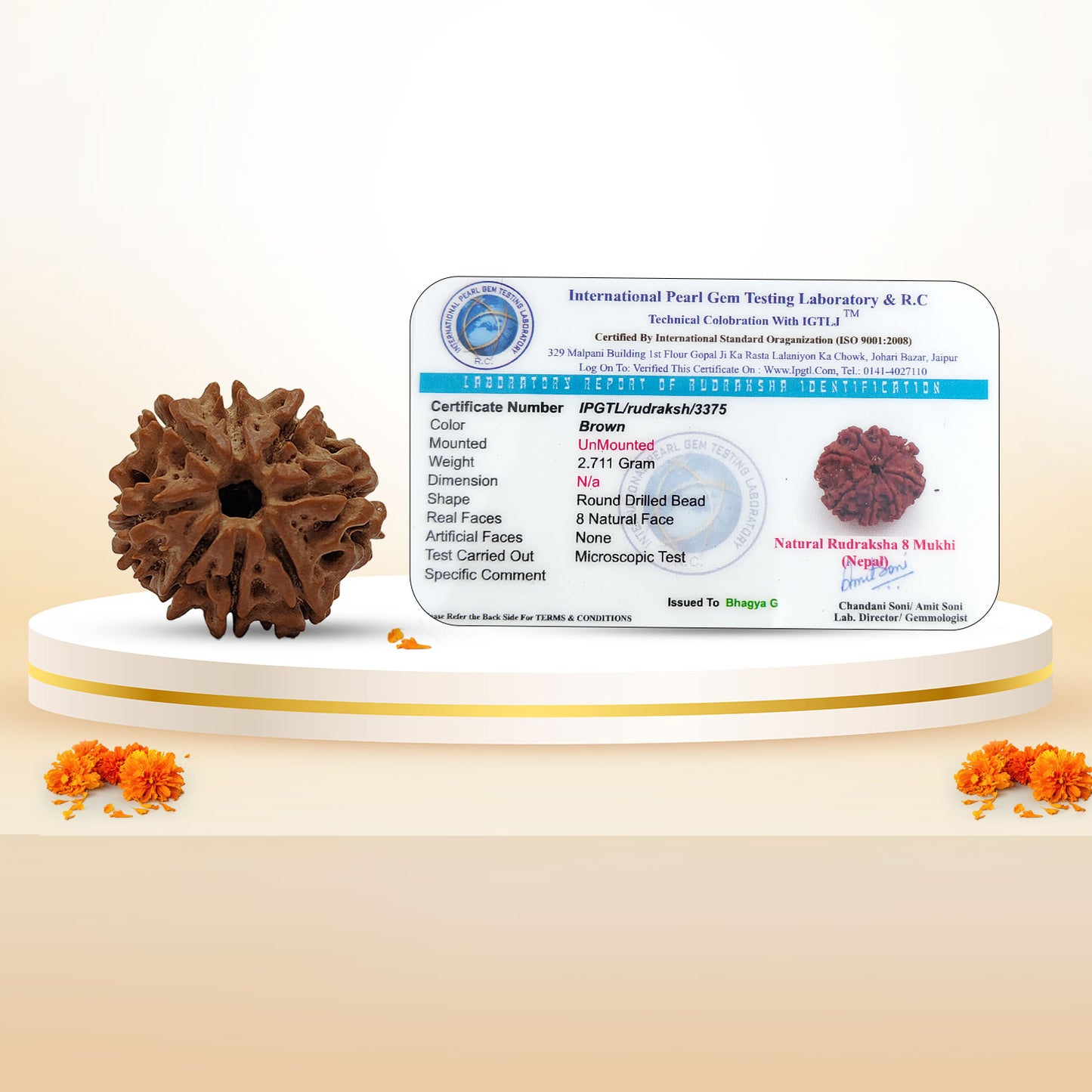 Nepali 8 Mukhi Rudraksha (Lab Certified)